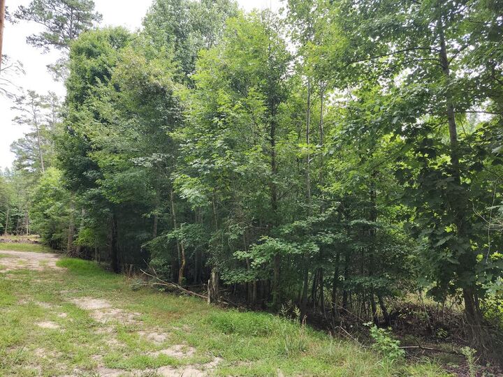 Property Photo: Chestnut Road VA 24577
