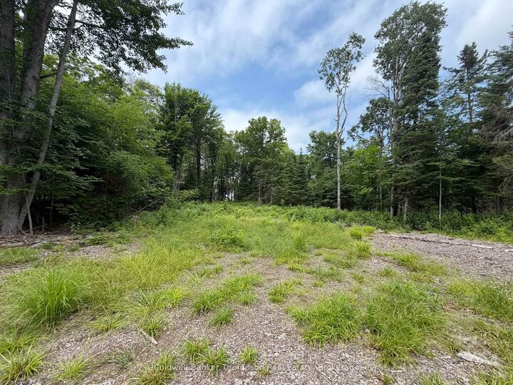 Property Photo:  Lot 10 Con 3  Gurd Twp Rye Road/Granite Hill Road  ON P0A 1X0 