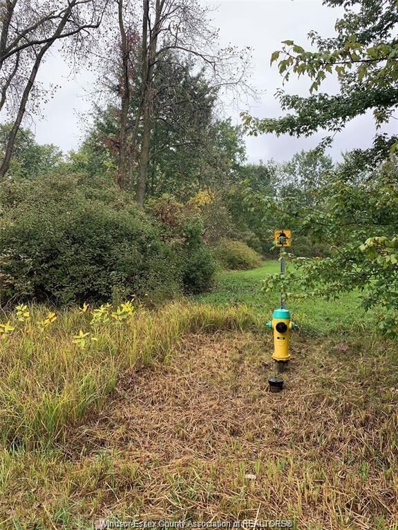 Property Photo: V/L Brush Side Road ON N8M 2X6