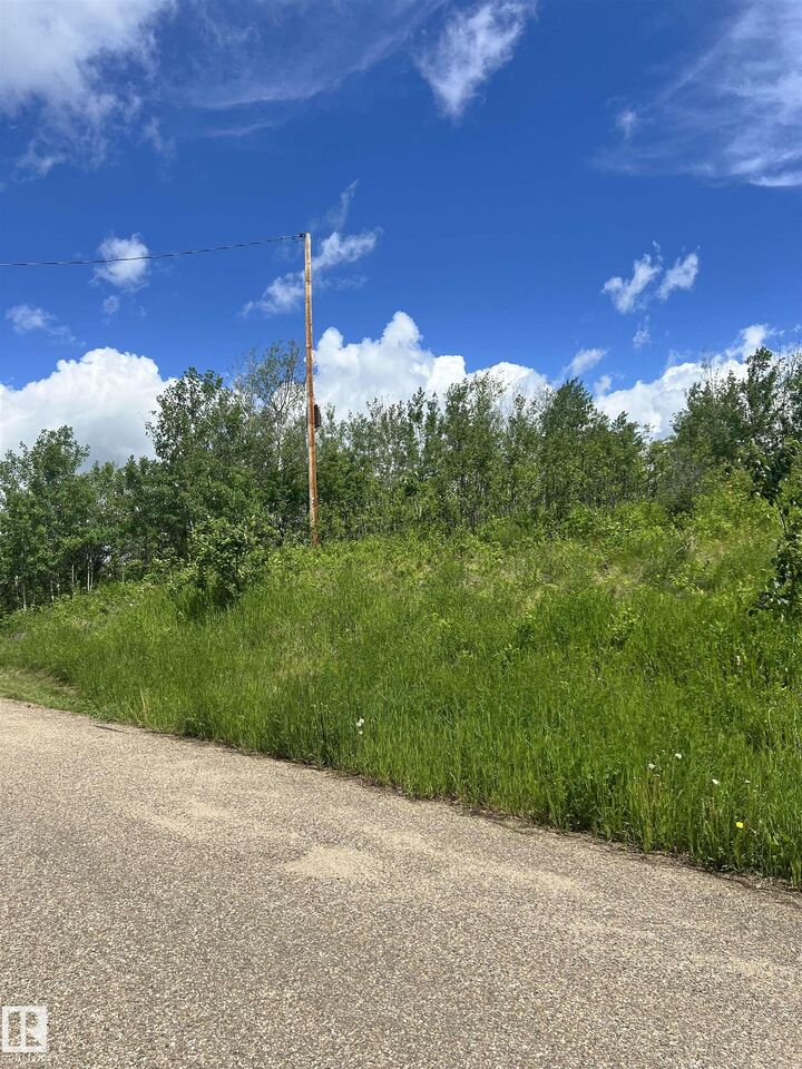 Property Photo:  62 Coney Drive  AB T0A 3A0 