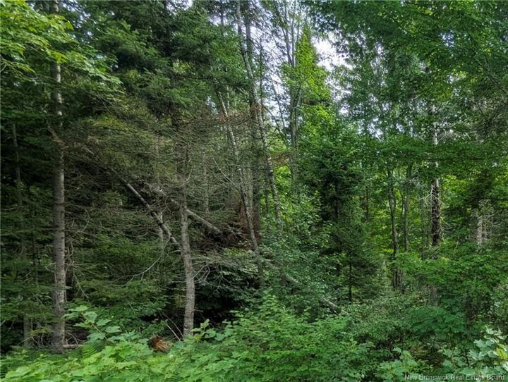 Property Photo:  47 Acres North Barnaby Road  NB E1N 6G4 