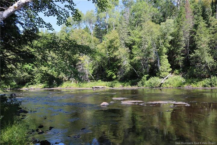 Property Photo: 47 Acres North Barnaby Road NB E1N 6G4