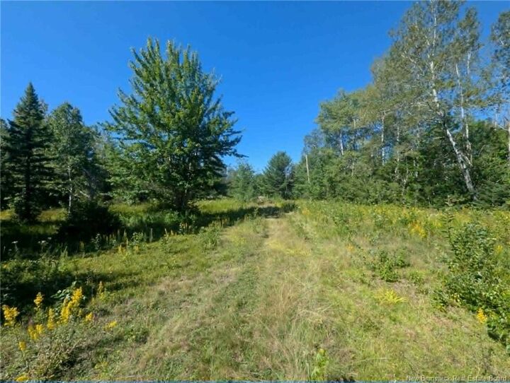 Property Photo:  5569 Route 134  NB E8L 1A9 