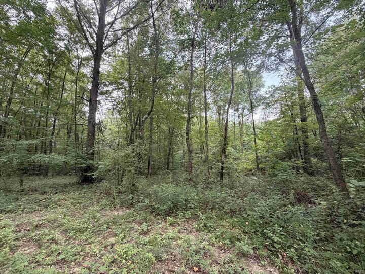 Property Photo:  00 St Rd 257 Highway  IN 47590 