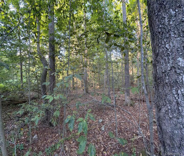 Property Photo:  Hidden Court  NY 12457 