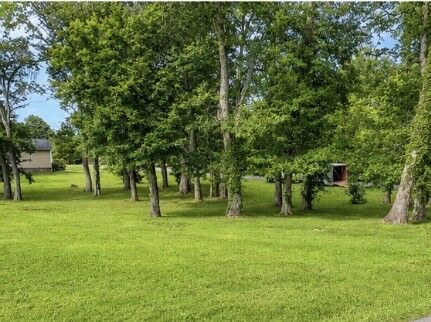 Property Photo: 19 Boyd Ave TN 37110
