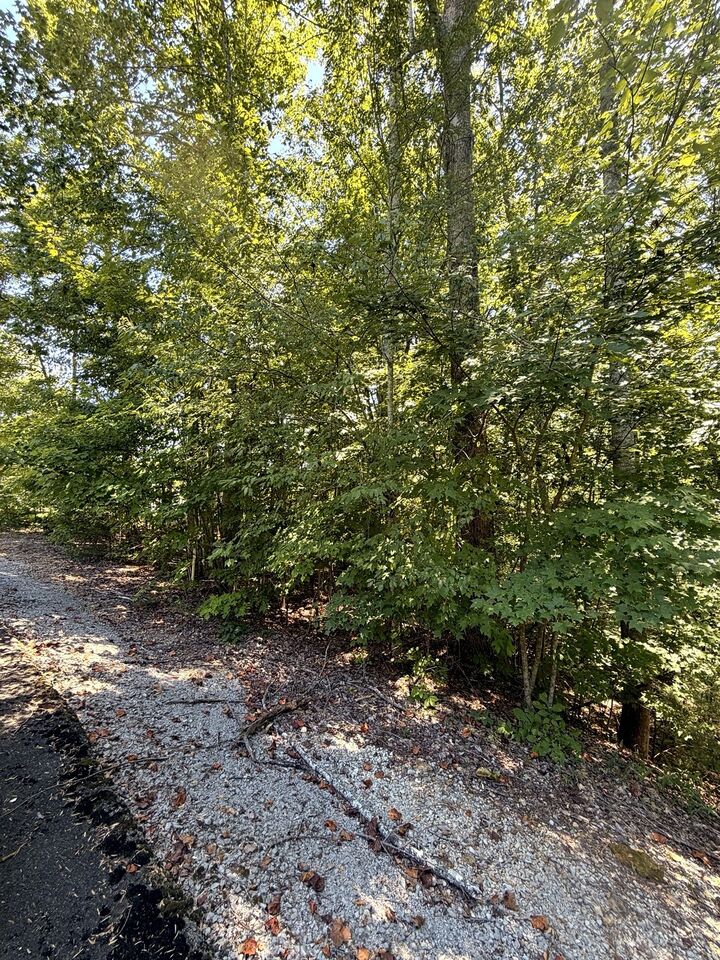 Property Photo:  0 Tennis Center Dr  TN 37166 