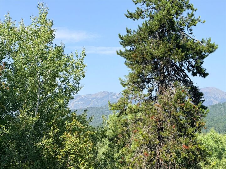 Property Photo:  972 Colorado Avenue  MT 59937 