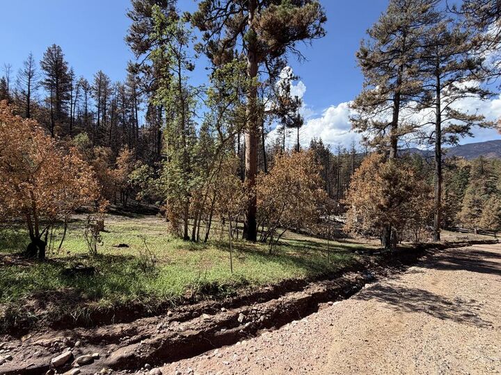 Property Photo: 8890 Ula Trail CO 81023
