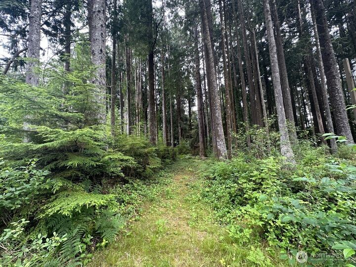 Property Photo:  44  Robin Lane  WA 98571 