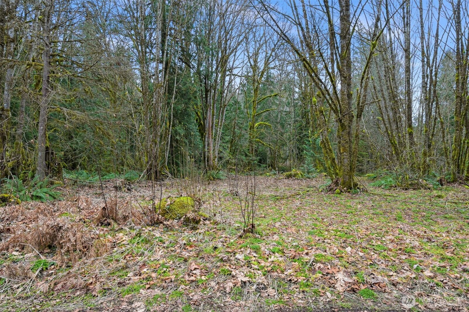 Property Photo:  7738  Maple Drive  WA 98266 