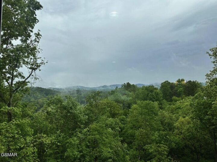 Property Photo: 4222 Dollys Drive TN 37876