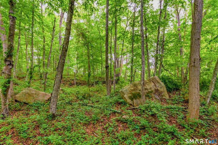 Property Photo:  73 Long Hill Road  CT 06417 