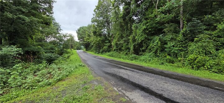Property Photo:  273 Back West Creek Road  NY 13811 