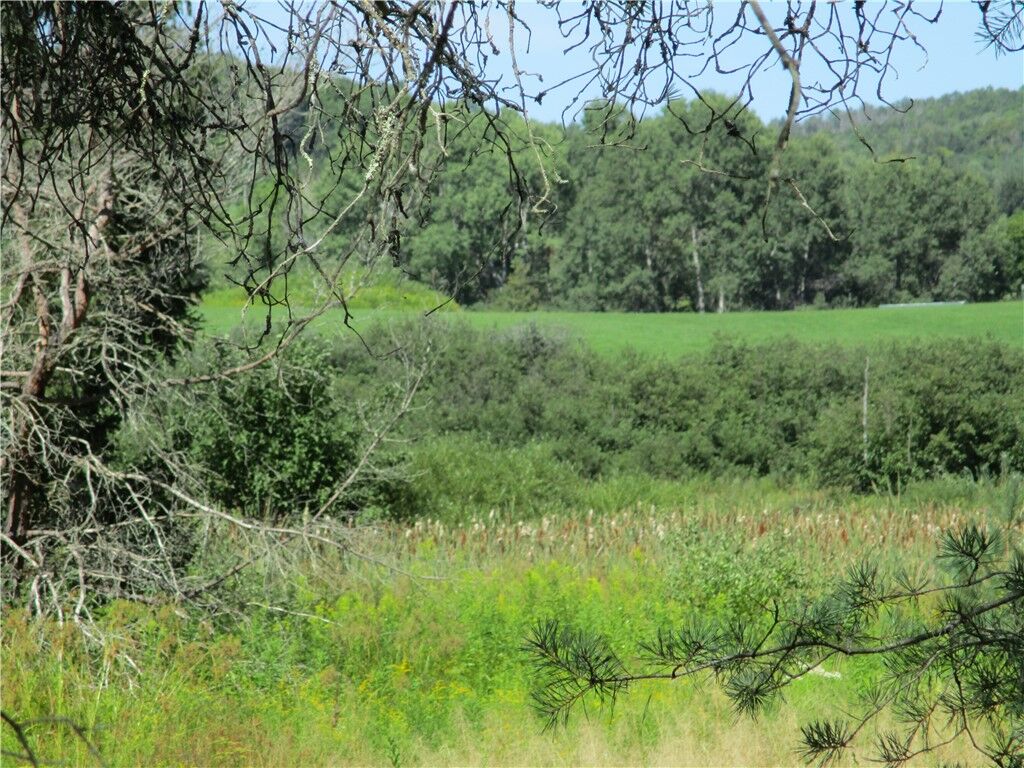 Property Photo:  Lot 1 State Route 80  NY 13464 