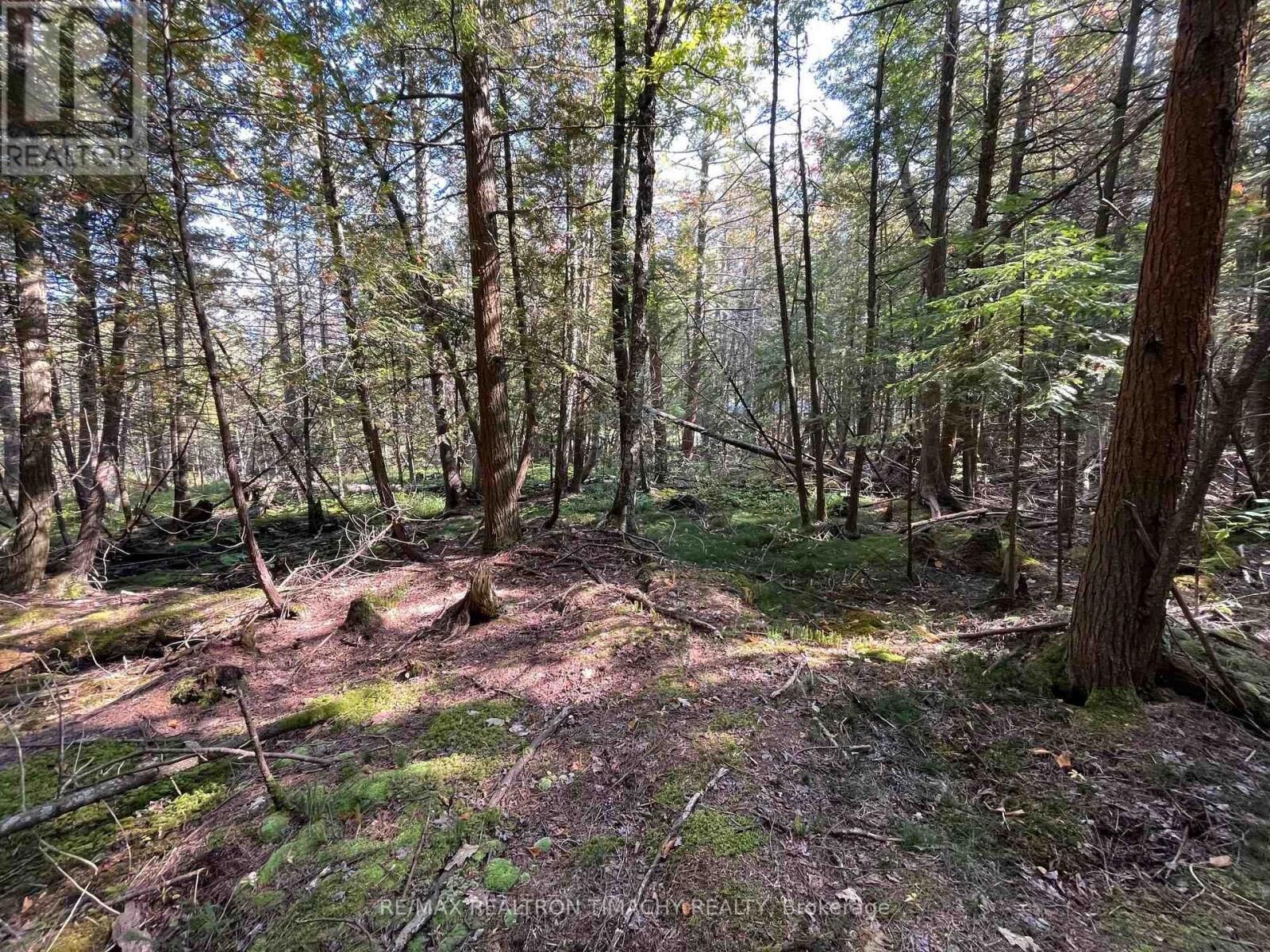 Property Photo: Lot 25 Champlain Road ON L9M 0C3