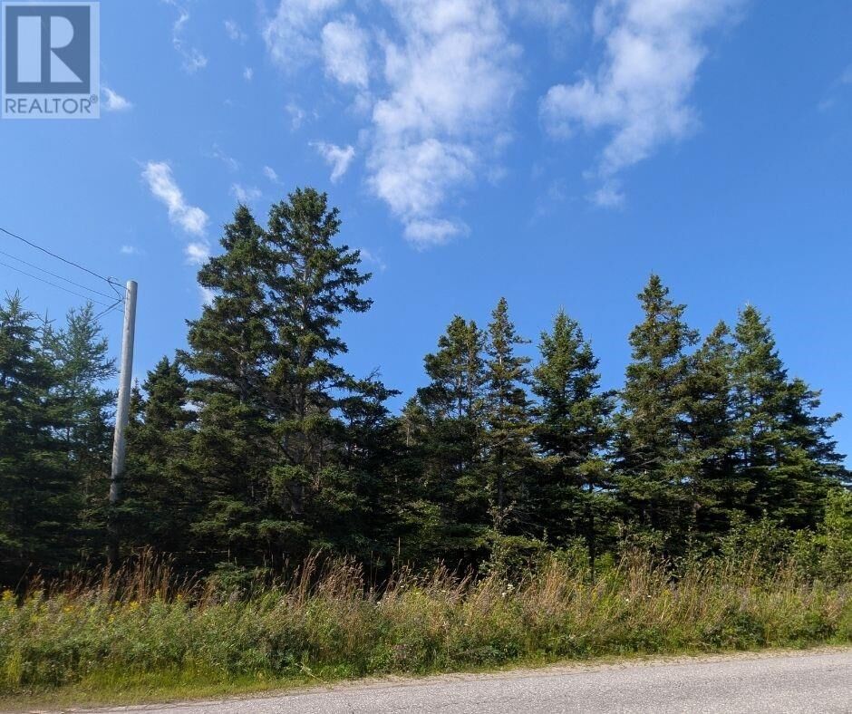 Property Photo:  0 Taylor's Road  NL A0N 1Y0 