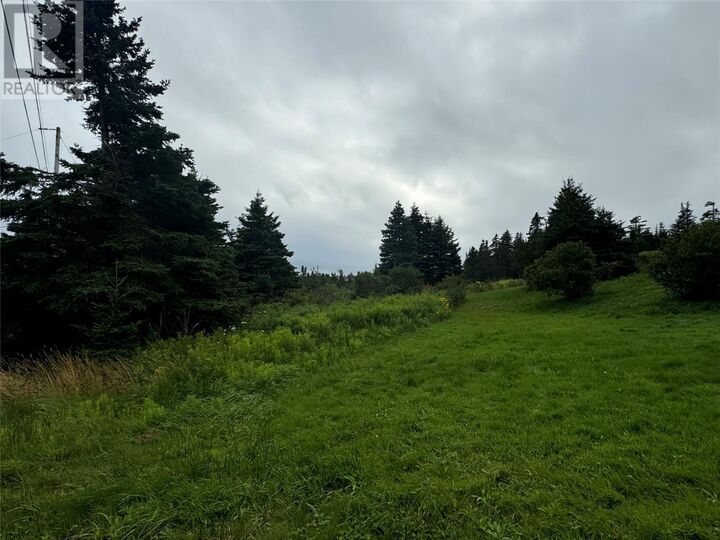 Property Photo:  17A Crowes Lane  NL A1K 1H5 