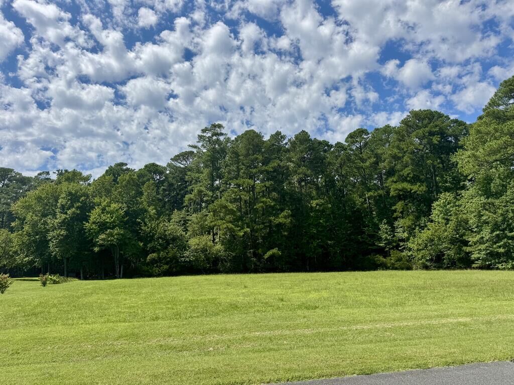 Property Photo:  Lot 68 Atlantic St  VA 23301 