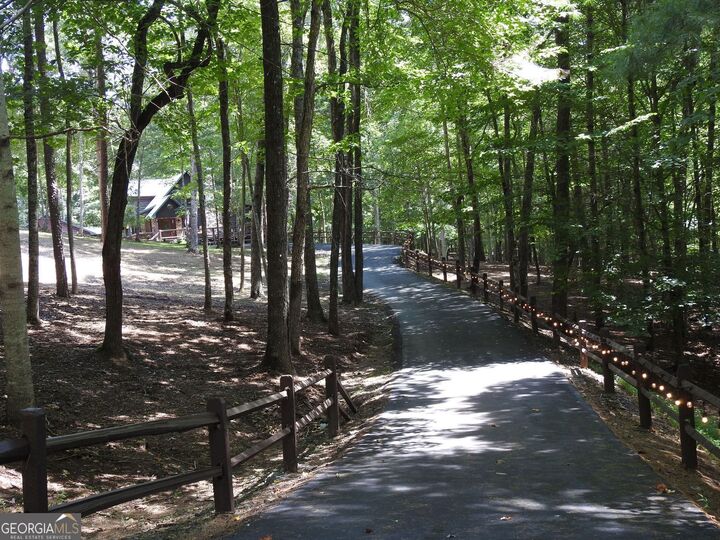 Property Photo:  202 Shepherds Ridge  GA 30560 