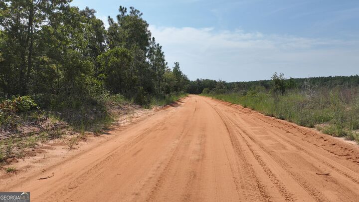 Property Photo: 0 Mt. Horeb Church Road GA 30833