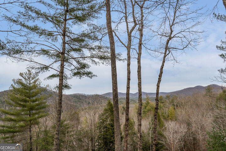 Property Photo:  131 Toccoa Overlook Lane  GA 30513 