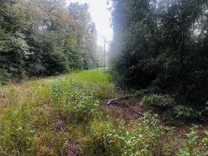 Property Photo:  Tbd County Road 139  TX 75850 