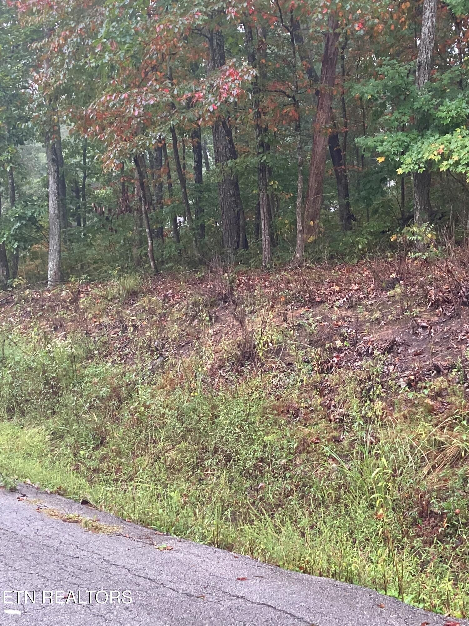 Property Photo:  127 Brokenwood Lane  TN 38558 