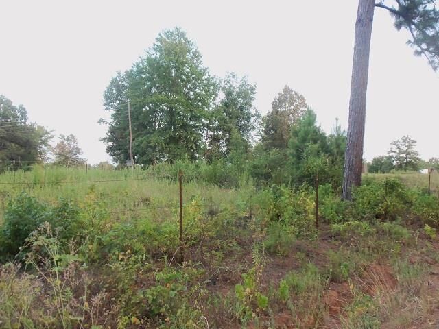 Property Photo:  Tbd Whiteside Lane Cr1127d  TX 75662 