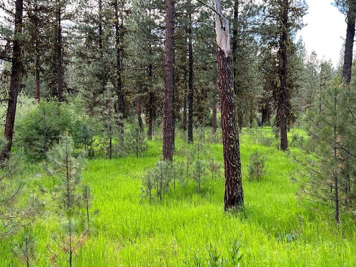 Property Photo:  Lot 7 Timber Ridge Drive  ID 83654 