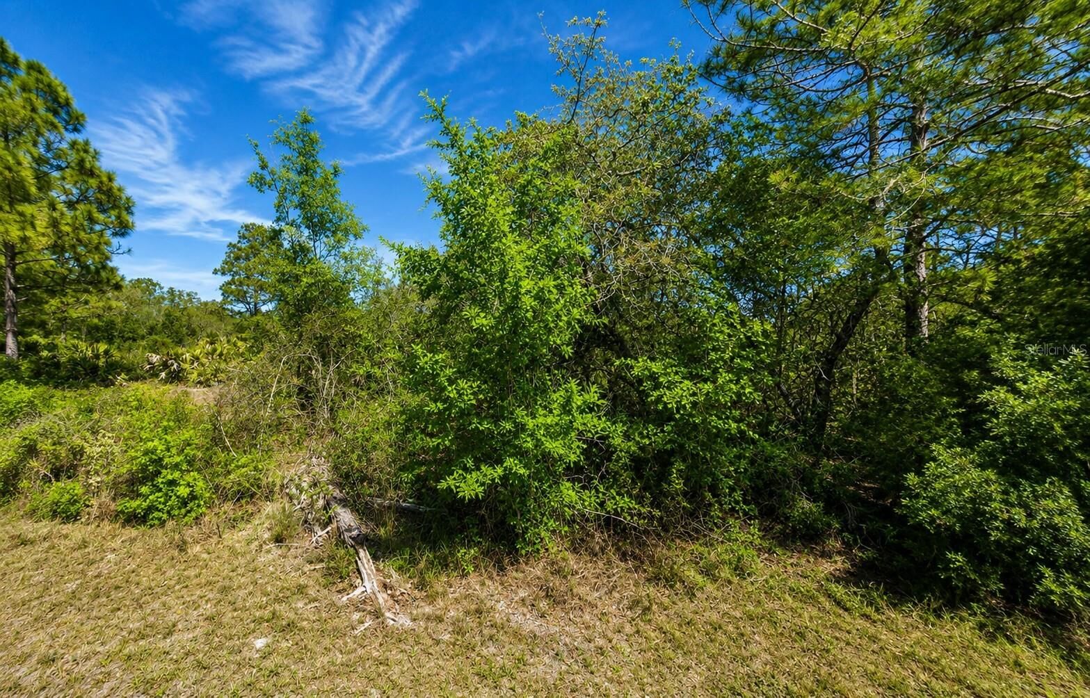 Property Photo:  104 Tobler Terrace NW  FL 33852 