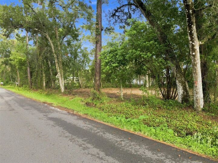 Property Photo: 0 Nicholas Avenue FL 34604