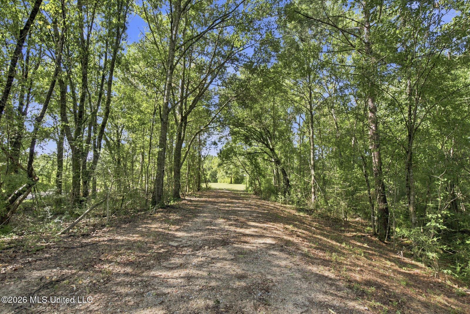 Property Photo: 132 Cody Goldman Road MS 39452