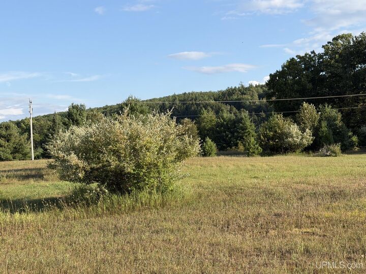 Property Photo: Lot 9 Ski View Drive MI 49870