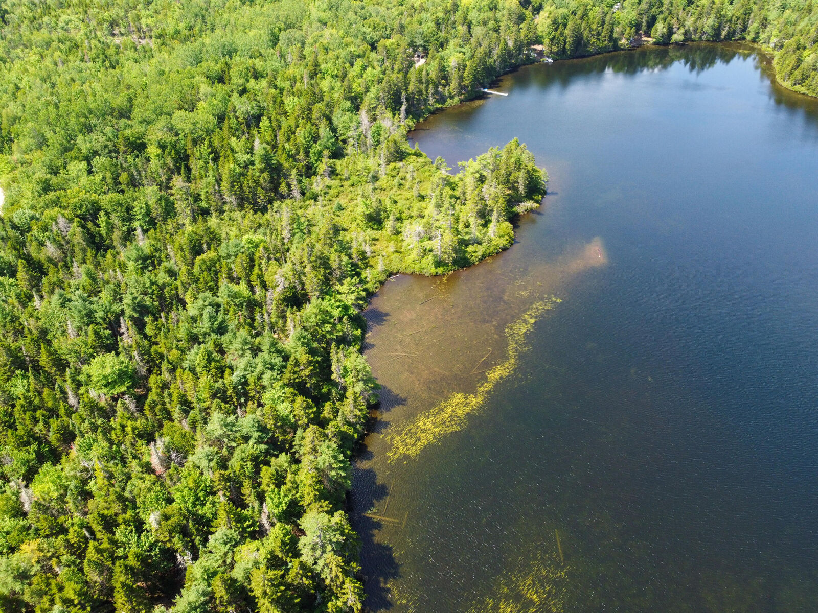 Property Photo:  Lot 6 Goulding Lake Road  ME 04671 