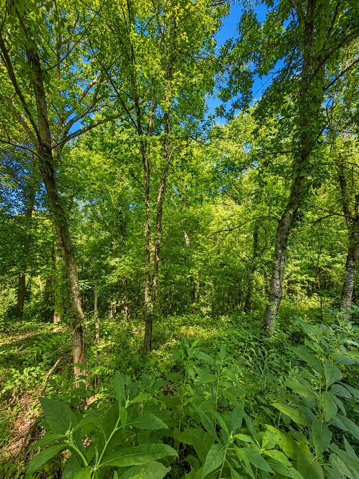 Property Photo: 0 Harbor Pointe Lane TN 37166