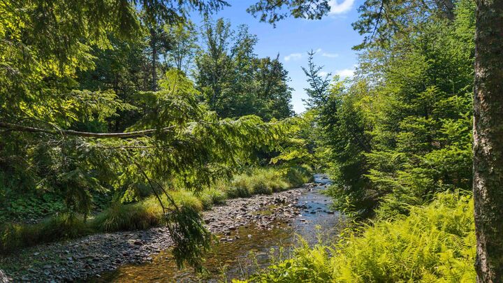Property Photo:  Lot Da23-2 Highway 311 Highway  NS B0K 1V0 