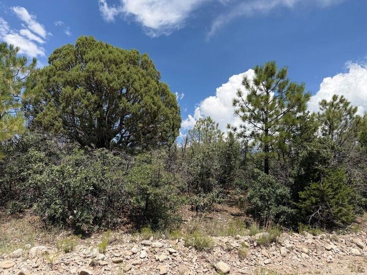 Property Photo: 44 Sunol Valley Dr NM 88350