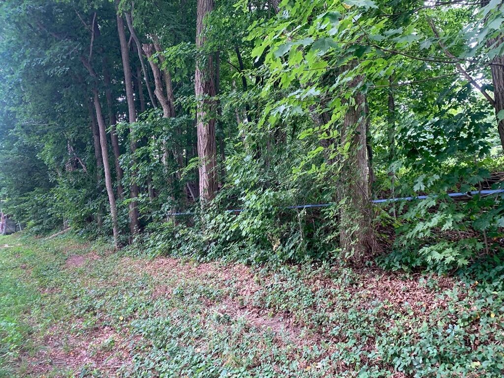 Property Photo:  0 Chestnut Plain Rd (Ws)  MA 01093 