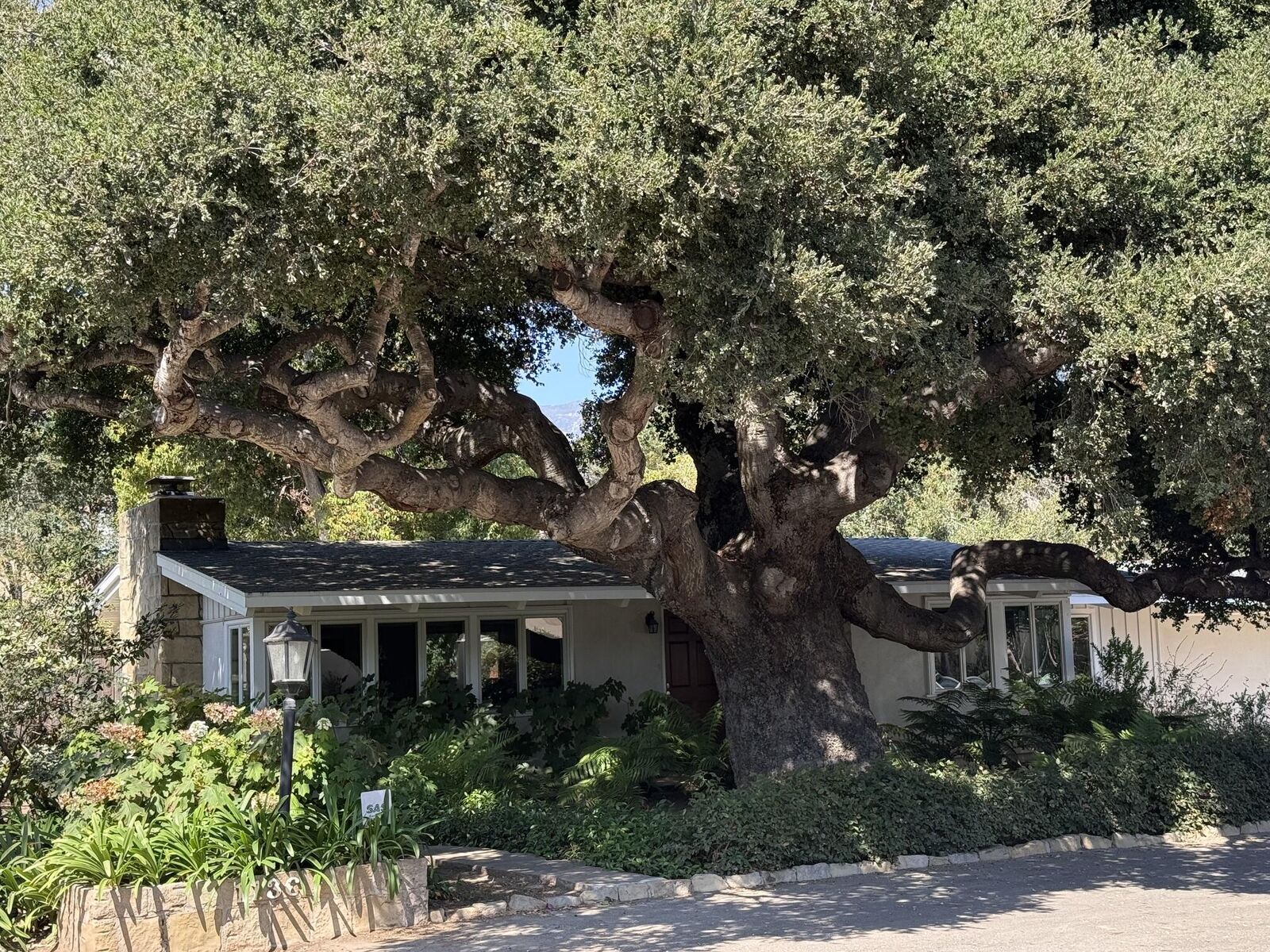 Property Photo:  1136 Hill Road  CA 93108 