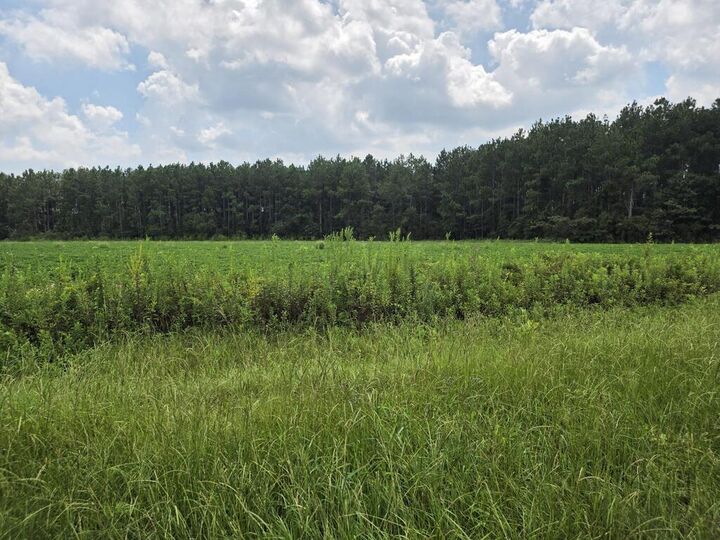 Property Photo:  0 Roy And Blanche Hulett Road  GA 31750 
