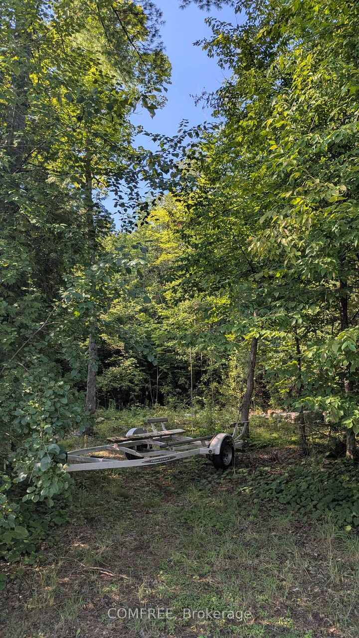 Property Photo:  4859 Opeongo Road  ON K0A 3M0 