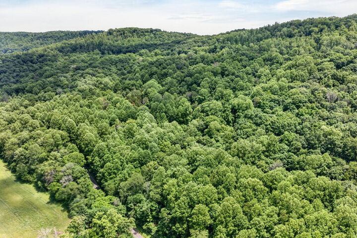 Property Photo:  1088 Lee Hollow Rd  TN 38583 