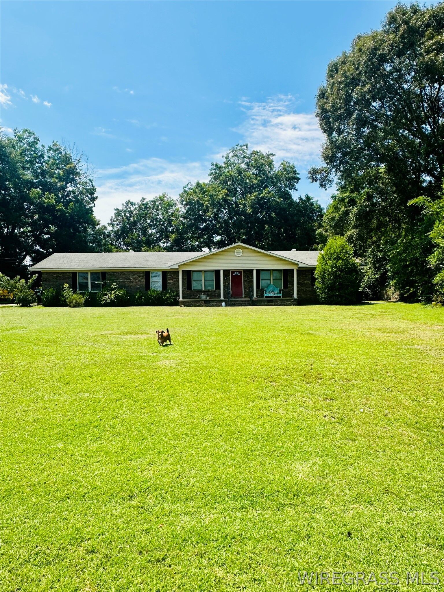 Property Photo: 310 S Tyler Street AL 36351