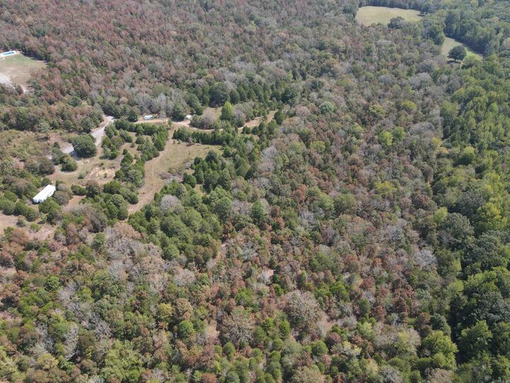 Property Photo:  10 Acres Turkey Mountain Road  AR 72045 