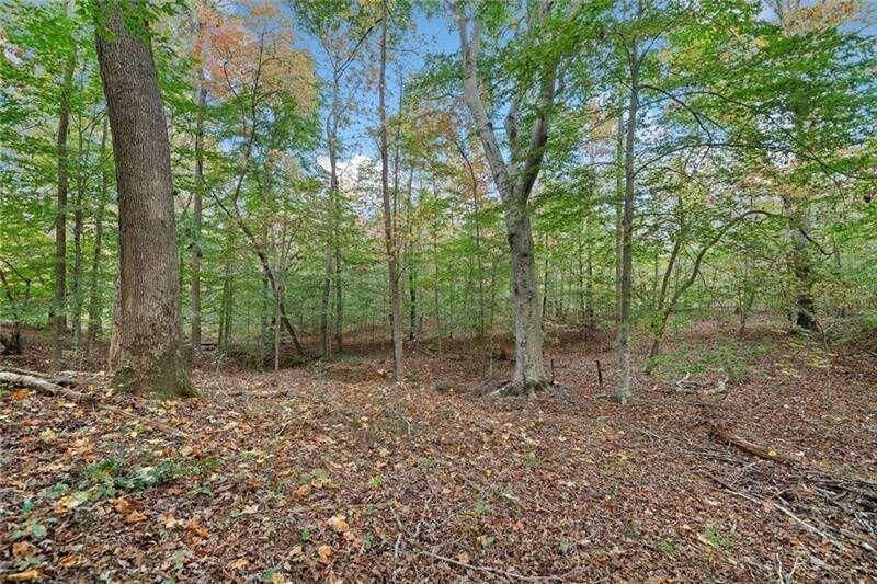 Property Photo:  000 Ammons Drive  GA 30183 