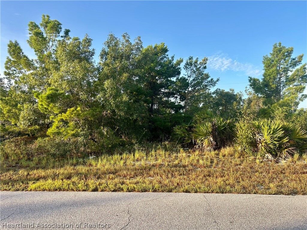 Property Photo: 124 Loquat Road NW FL 33852