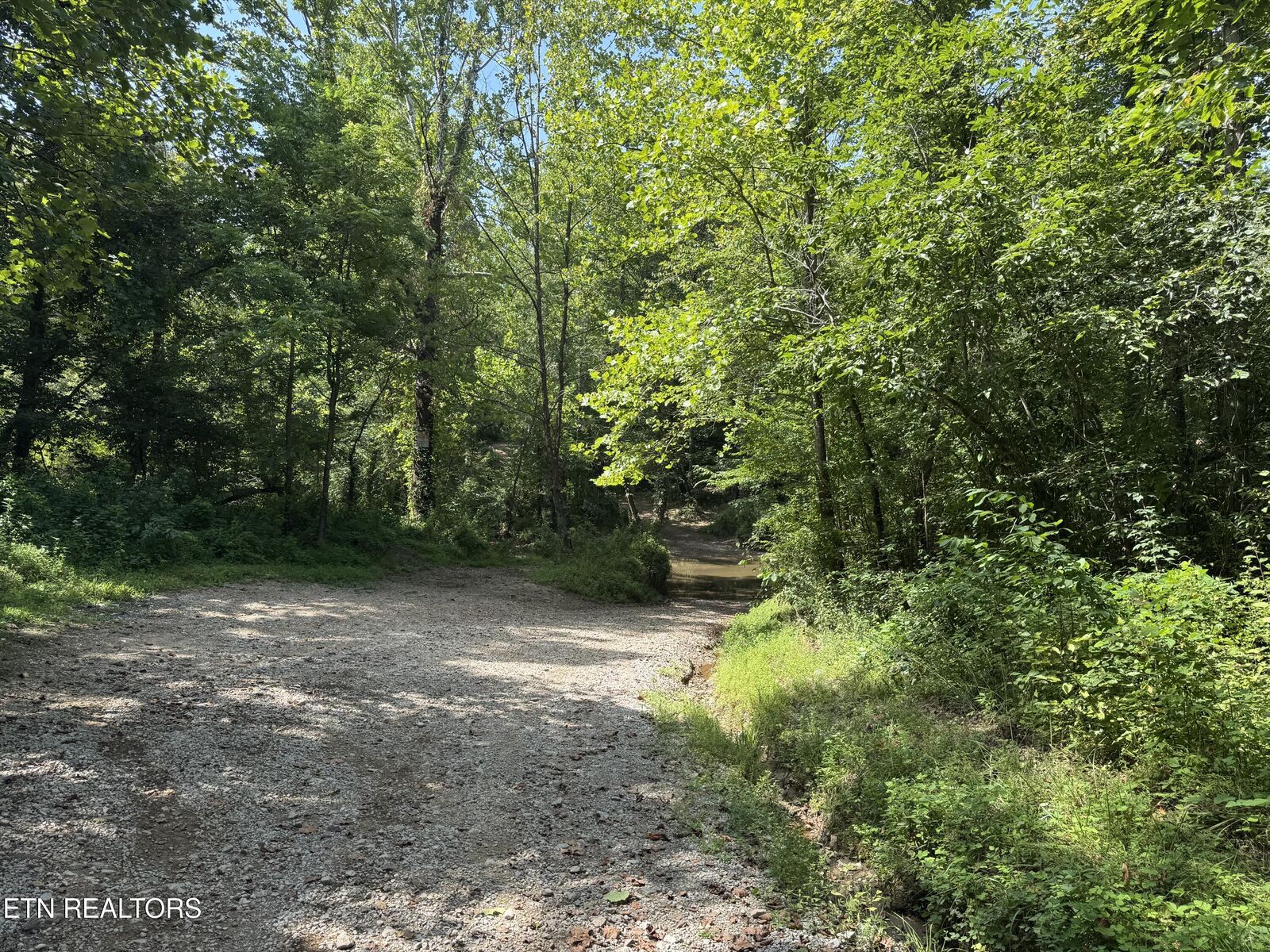 Property Photo:  0 Brimstone Creek  TN 37852 