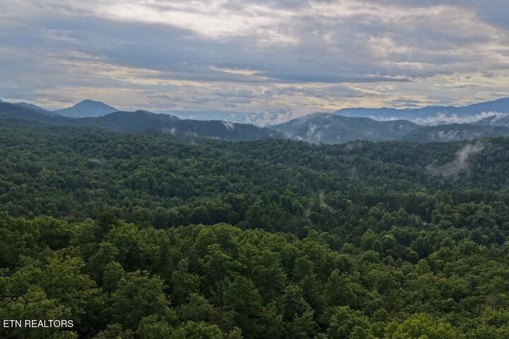 Property Photo:  Lot 44 Shady Oaks Way  TN 37876 