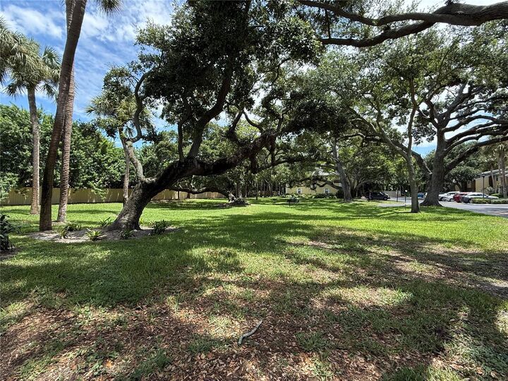 Property Photo:  3001 58th Avenue S 613  FL 33712 